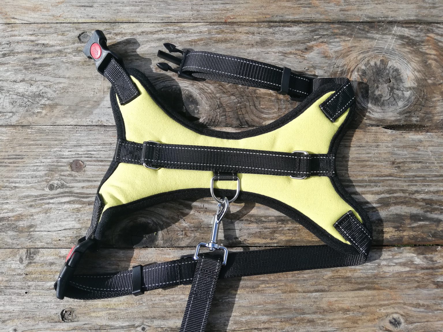 The Best Dog Harnesses RescueDogs.co.uk