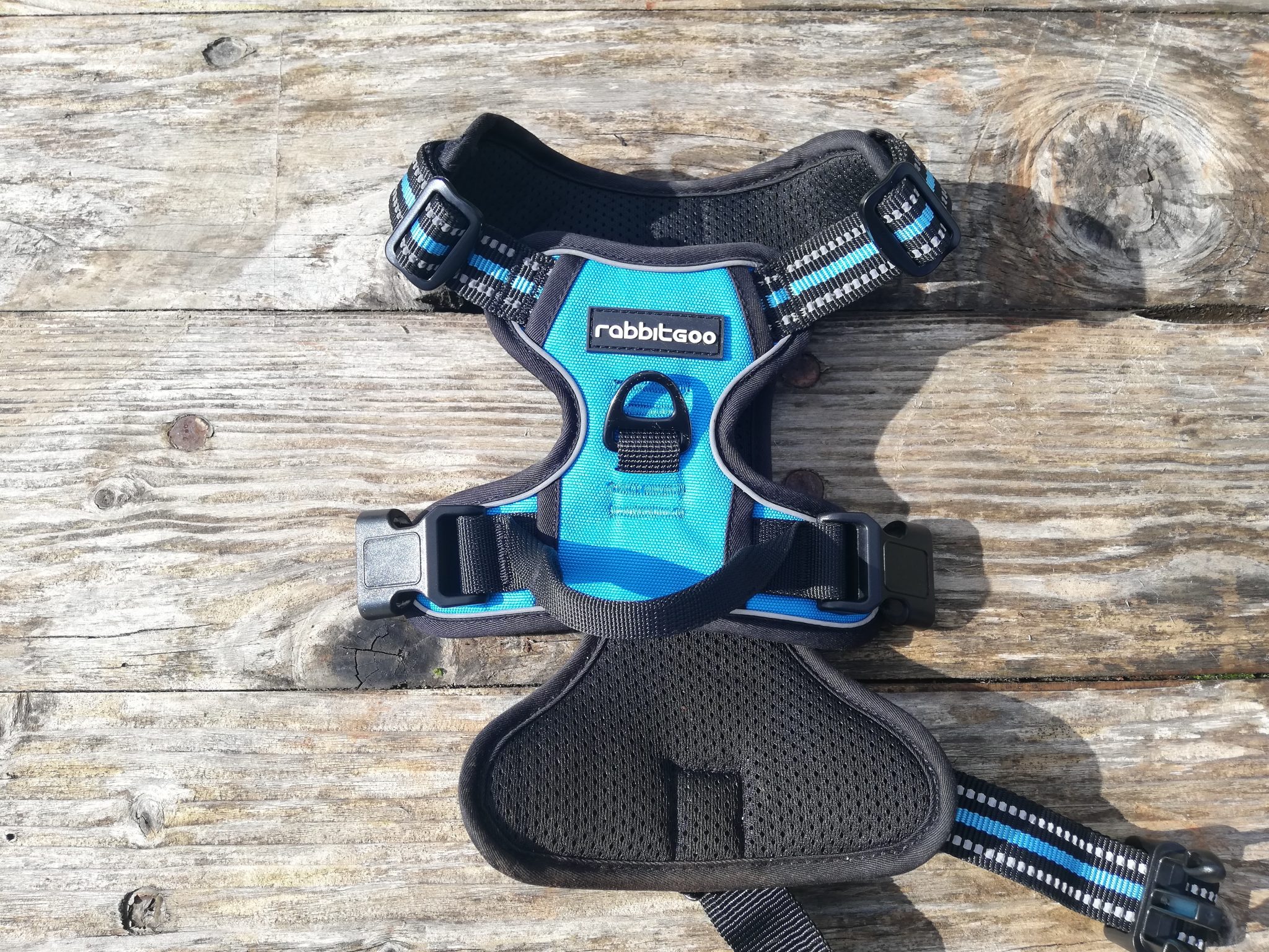 The Best Dog Harnesses RescueDogs.co.uk